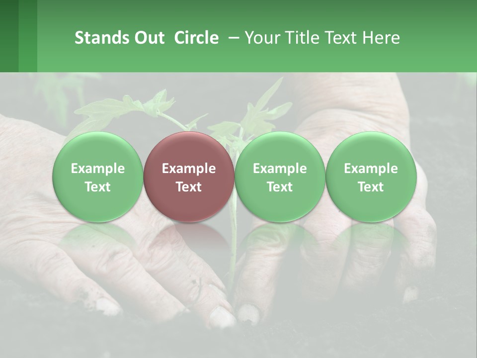 A Person Holding A Plant In Their Hands PowerPoint Template