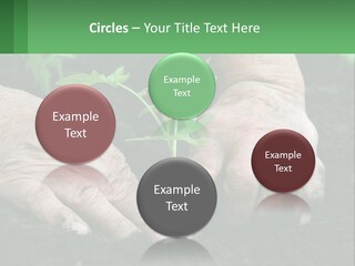 A Person Holding A Plant In Their Hands PowerPoint Template