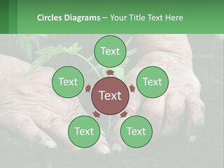 A Person Holding A Plant In Their Hands PowerPoint Template