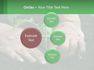 A Person Holding A Plant In Their Hands PowerPoint Template