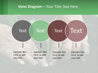 A Person Holding A Plant In Their Hands PowerPoint Template