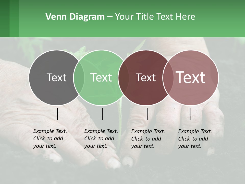 A Person Holding A Plant In Their Hands PowerPoint Template