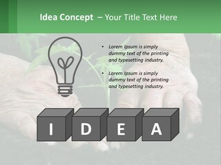A Person Holding A Plant In Their Hands PowerPoint Template