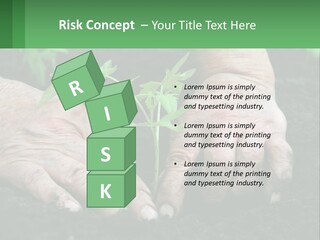 A Person Holding A Plant In Their Hands PowerPoint Template