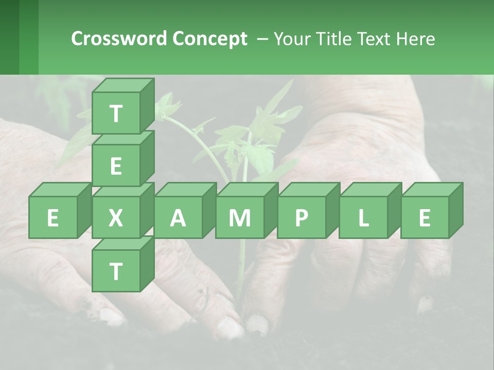 A Person Holding A Plant In Their Hands PowerPoint Template