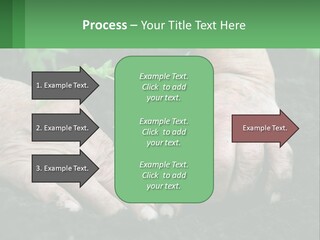 A Person Holding A Plant In Their Hands PowerPoint Template