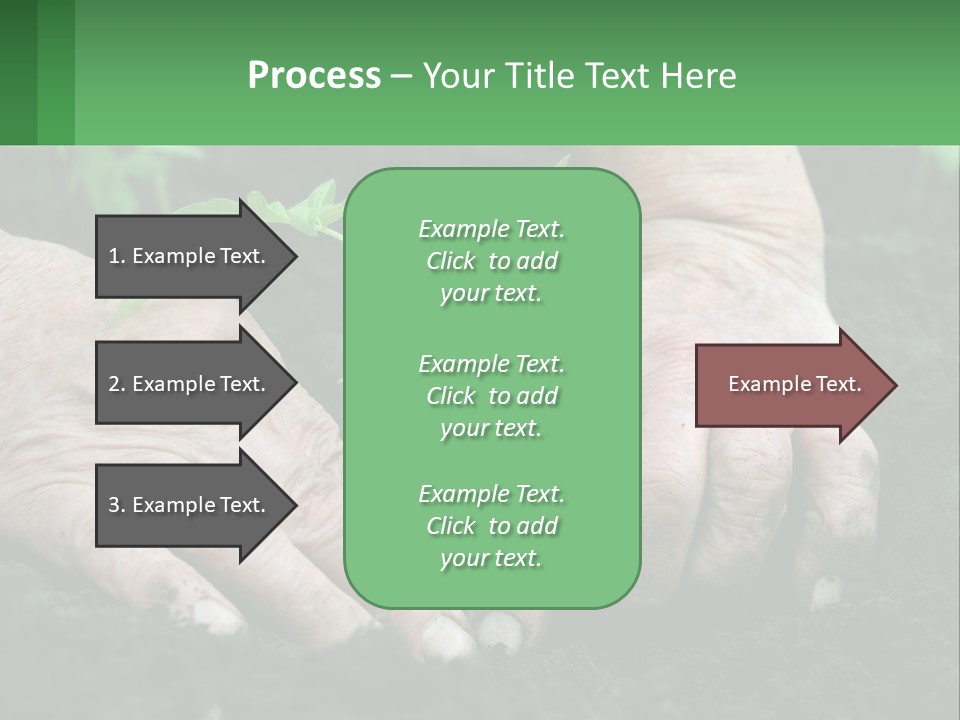 A Person Holding A Plant In Their Hands PowerPoint Template