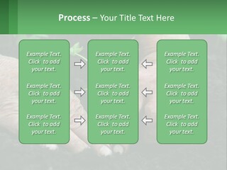 A Person Holding A Plant In Their Hands PowerPoint Template