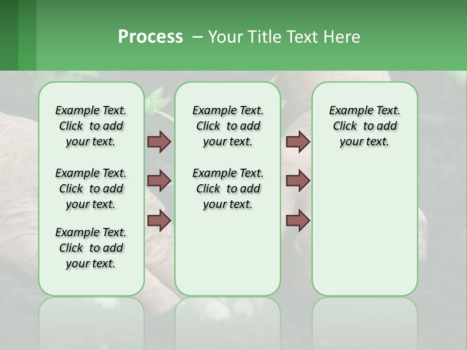 A Person Holding A Plant In Their Hands PowerPoint Template