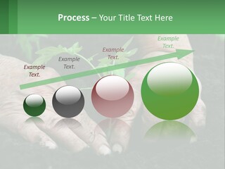 A Person Holding A Plant In Their Hands PowerPoint Template