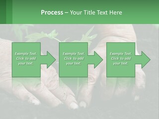 A Person Holding A Plant In Their Hands PowerPoint Template