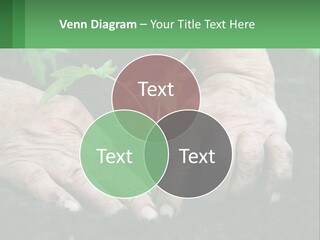 A Person Holding A Plant In Their Hands PowerPoint Template
