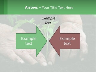 A Person Holding A Plant In Their Hands PowerPoint Template