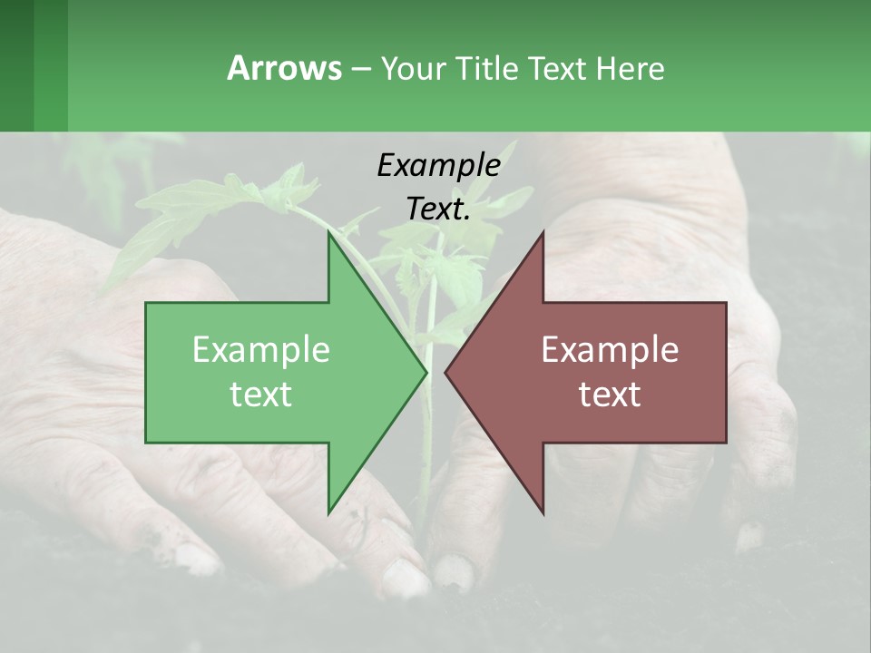 A Person Holding A Plant In Their Hands PowerPoint Template