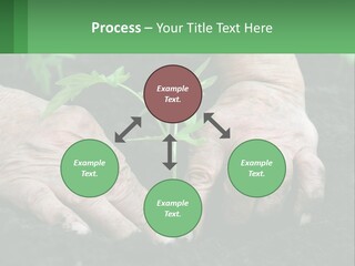 A Person Holding A Plant In Their Hands PowerPoint Template