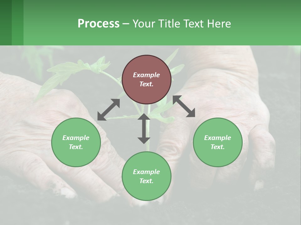 A Person Holding A Plant In Their Hands PowerPoint Template