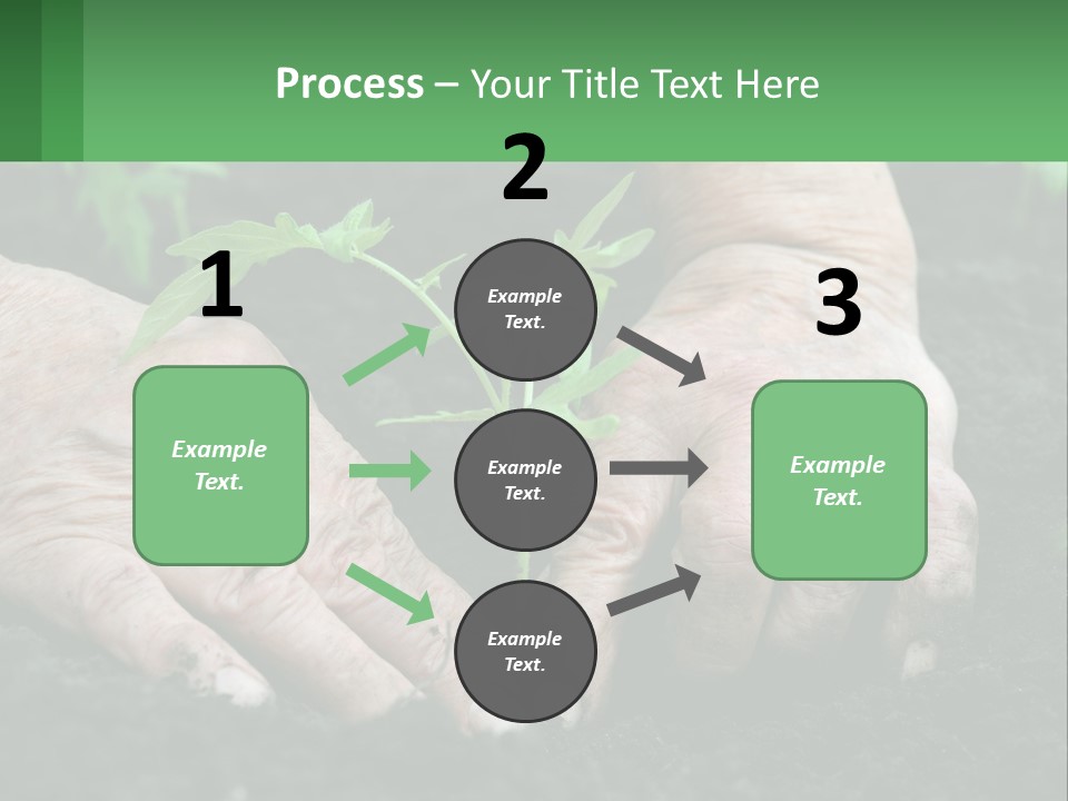 A Person Holding A Plant In Their Hands PowerPoint Template