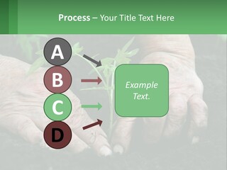 A Person Holding A Plant In Their Hands PowerPoint Template