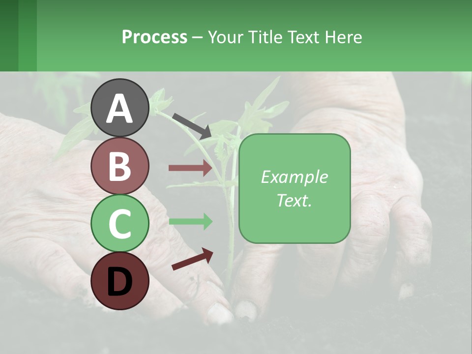 A Person Holding A Plant In Their Hands PowerPoint Template