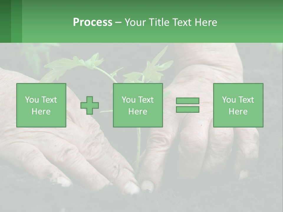 A Person Holding A Plant In Their Hands PowerPoint Template