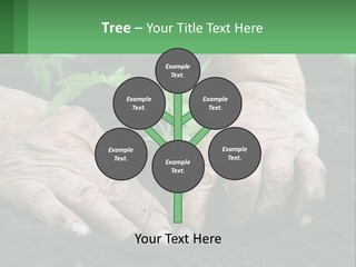A Person Holding A Plant In Their Hands PowerPoint Template