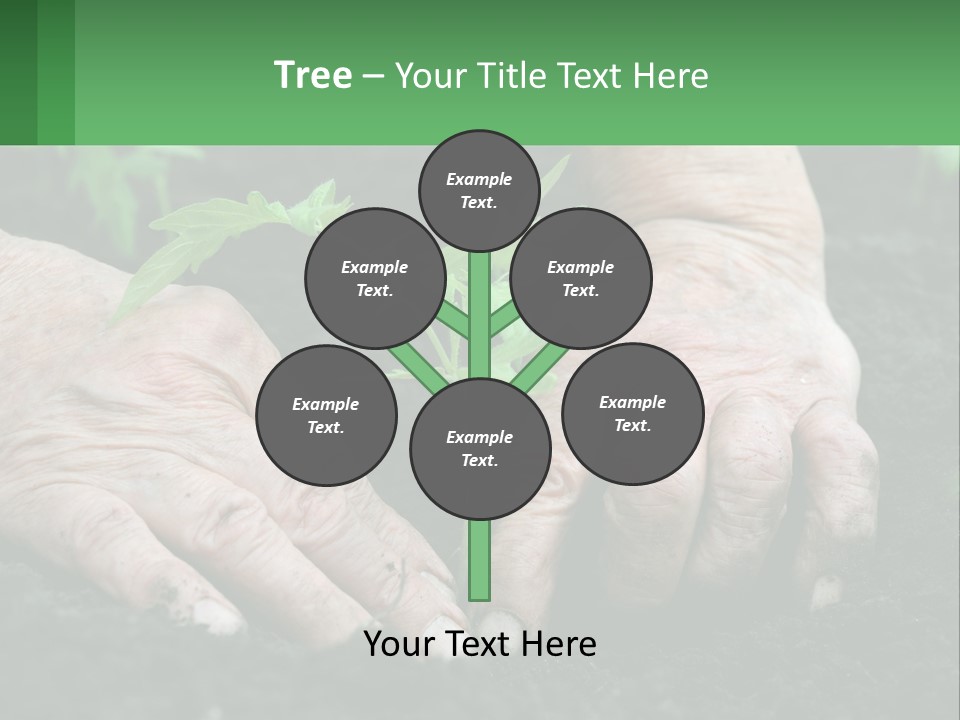 A Person Holding A Plant In Their Hands PowerPoint Template