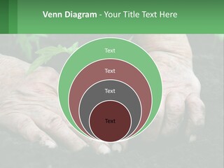 A Person Holding A Plant In Their Hands PowerPoint Template