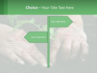 A Person Holding A Plant In Their Hands PowerPoint Template