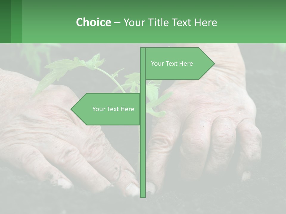 A Person Holding A Plant In Their Hands PowerPoint Template