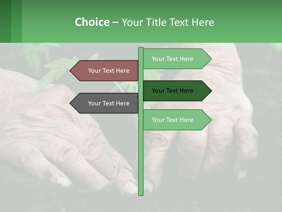 A Person Holding A Plant In Their Hands PowerPoint Template