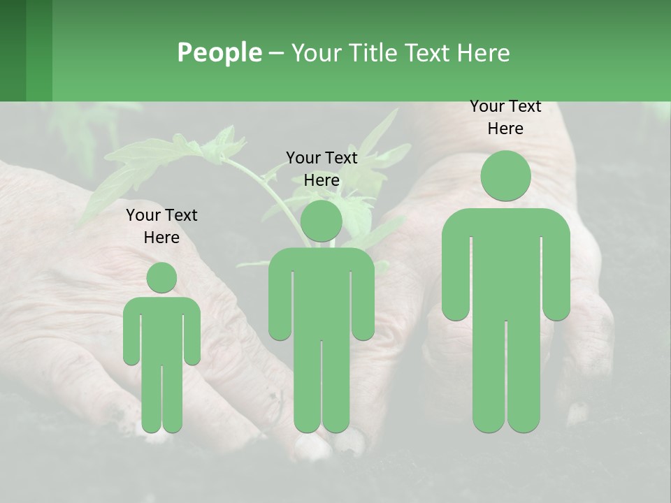 A Person Holding A Plant In Their Hands PowerPoint Template
