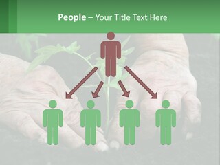 A Person Holding A Plant In Their Hands PowerPoint Template