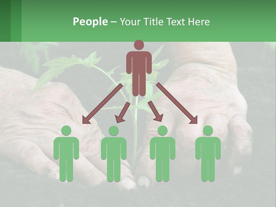 A Person Holding A Plant In Their Hands PowerPoint Template