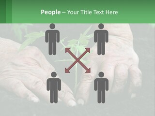 A Person Holding A Plant In Their Hands PowerPoint Template