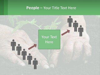 A Person Holding A Plant In Their Hands PowerPoint Template