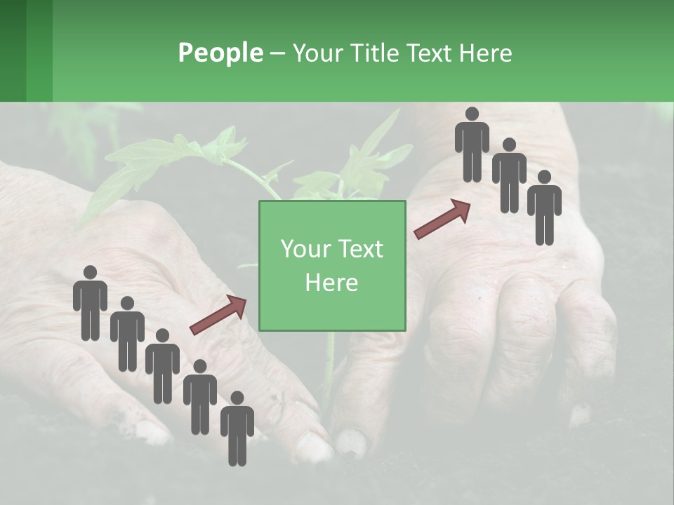 A Person Holding A Plant In Their Hands PowerPoint Template
