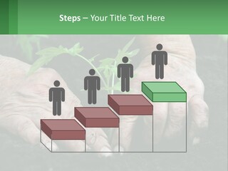 A Person Holding A Plant In Their Hands PowerPoint Template