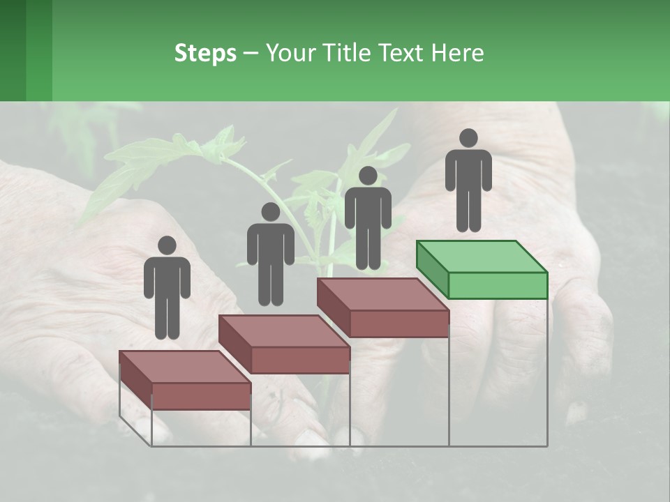 A Person Holding A Plant In Their Hands PowerPoint Template