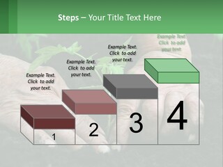 A Person Holding A Plant In Their Hands PowerPoint Template