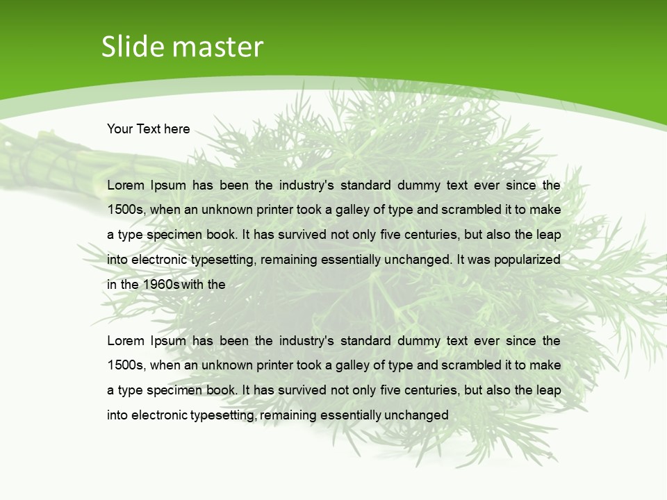 A Bunch Of Green Herbs On A White Background PowerPoint Template