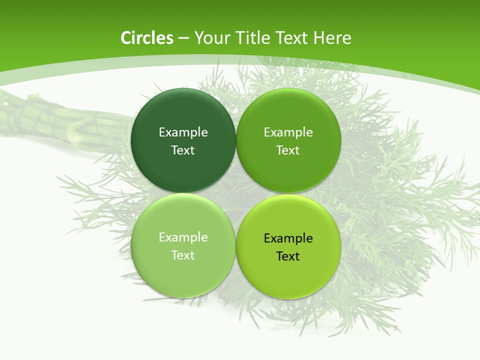 A Bunch Of Green Herbs On A White Background PowerPoint Template