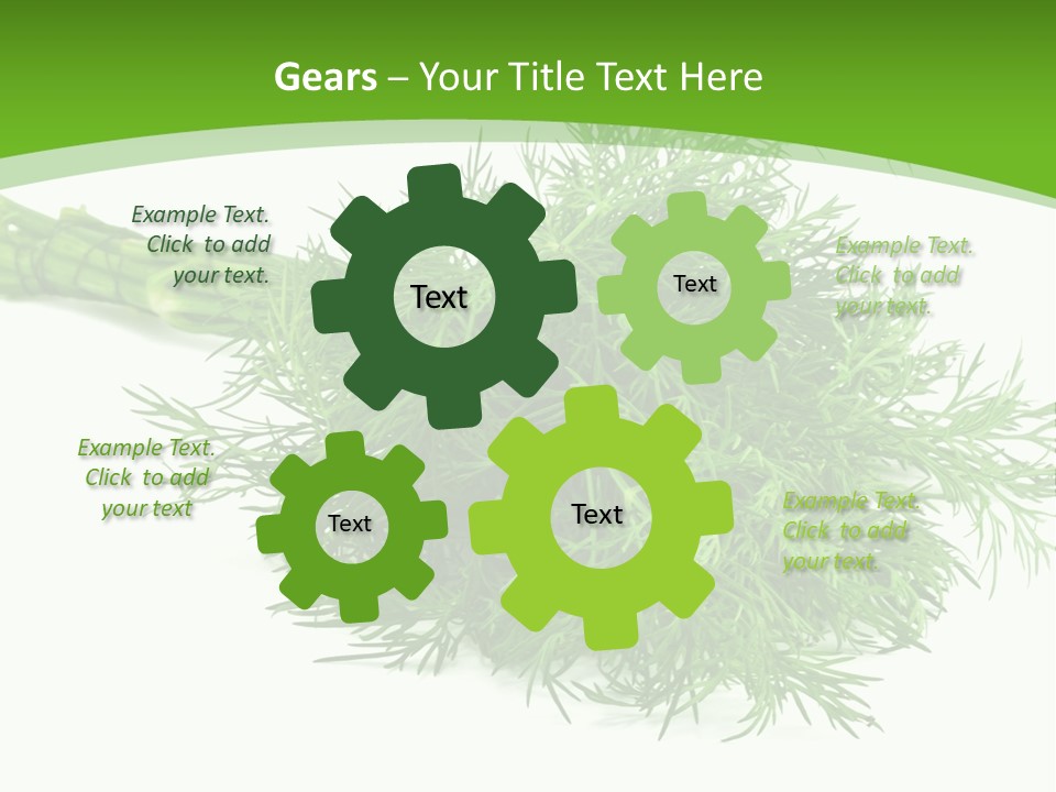 A Bunch Of Green Herbs On A White Background PowerPoint Template