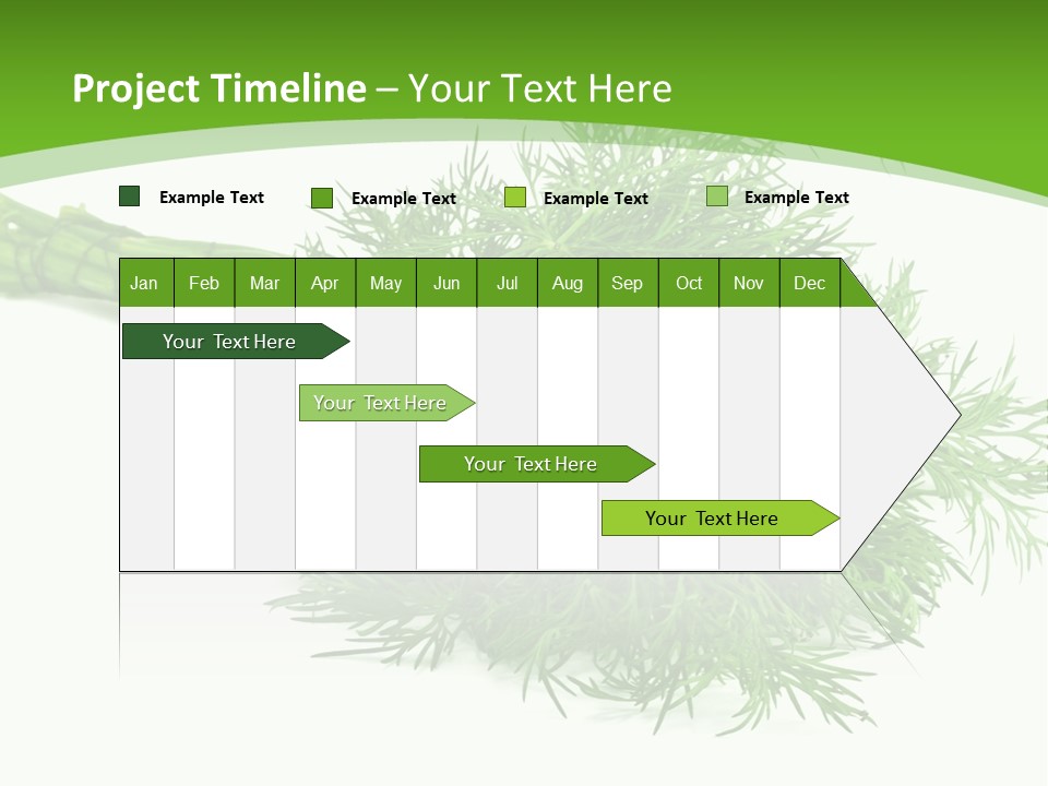 A Bunch Of Green Herbs On A White Background PowerPoint Template