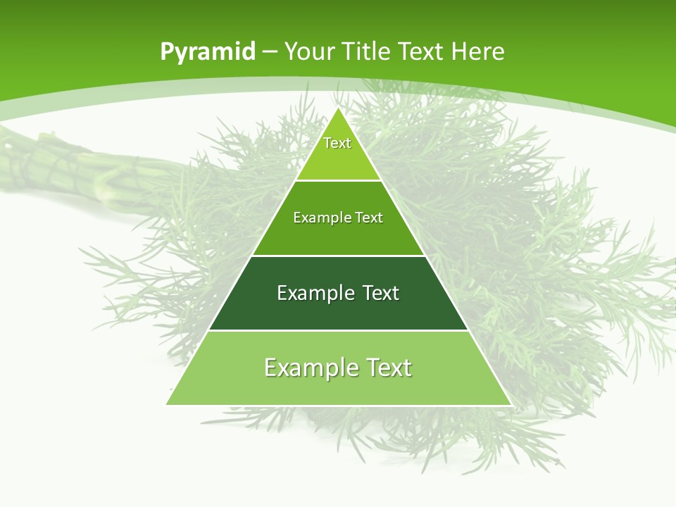 A Bunch Of Green Herbs On A White Background PowerPoint Template