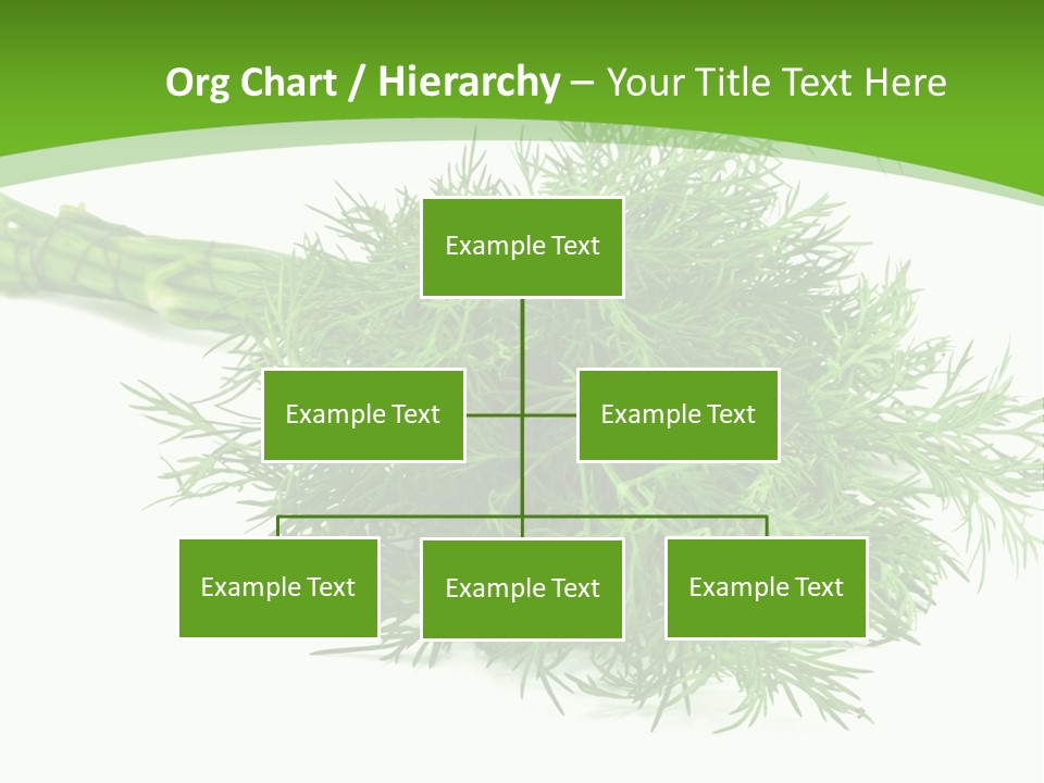 A Bunch Of Green Herbs On A White Background PowerPoint Template