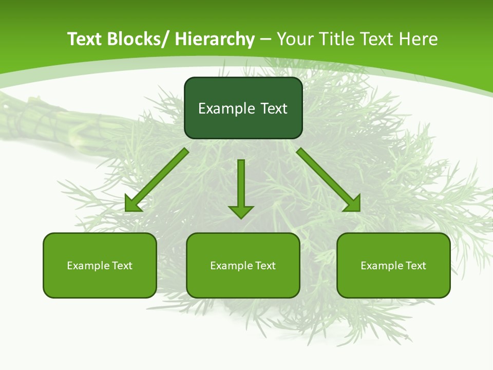 A Bunch Of Green Herbs On A White Background PowerPoint Template