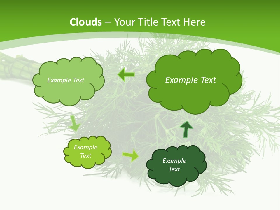 A Bunch Of Green Herbs On A White Background PowerPoint Template