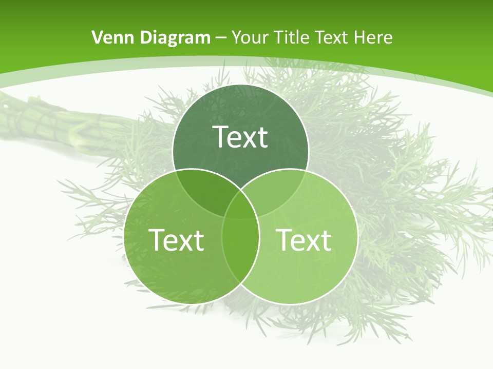 A Bunch Of Green Herbs On A White Background PowerPoint Template