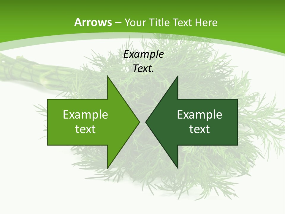 A Bunch Of Green Herbs On A White Background PowerPoint Template