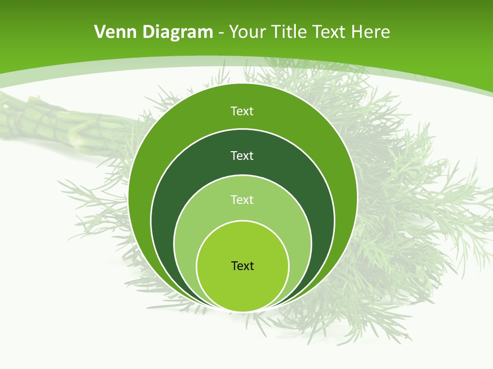 A Bunch Of Green Herbs On A White Background PowerPoint Template